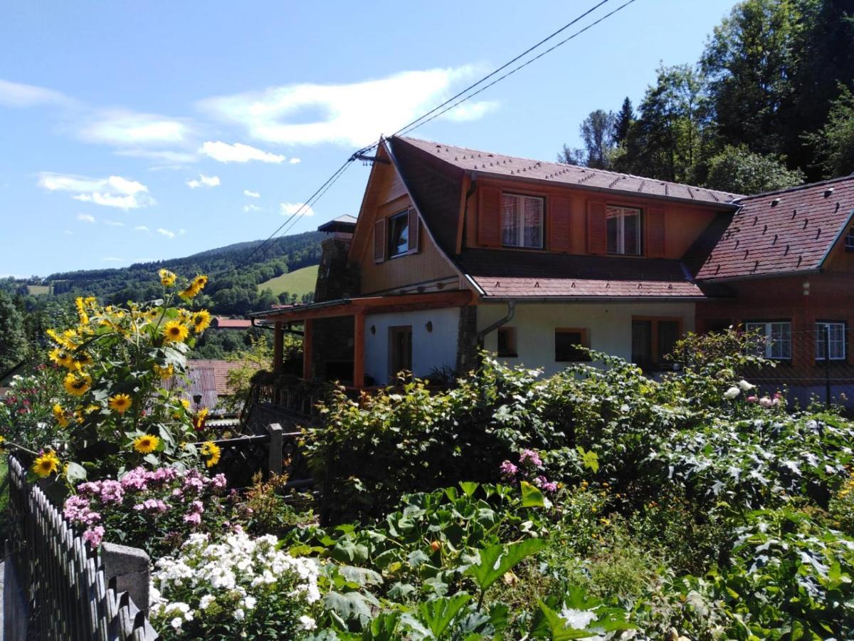 Ferienhaus Bauer Trattenbach  Extérieur photo