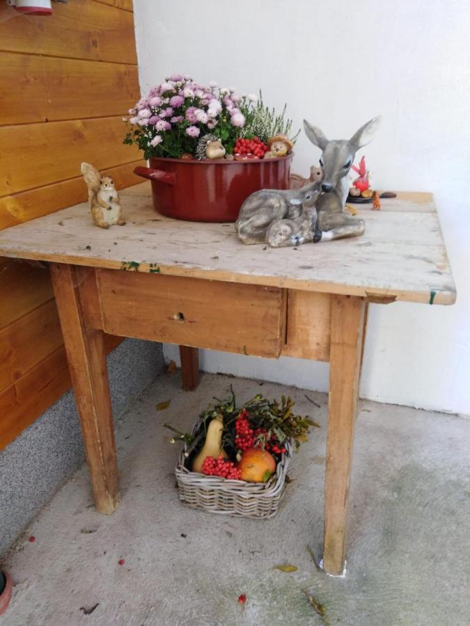 Ferienhaus Bauer Trattenbach  Extérieur photo